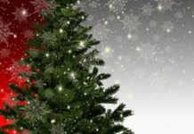 Albero di Natale ecologia inquinamento