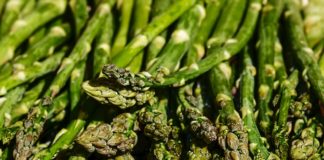 Asparagi cattivo odore pipì