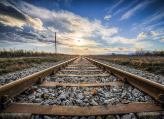 Cane veglia corpo padrone sui binari del treno