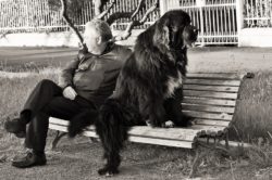 Cane linguaggio dell'uomo