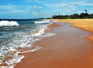 Sri Lanka disastro ambientale