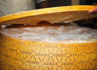 grana padano